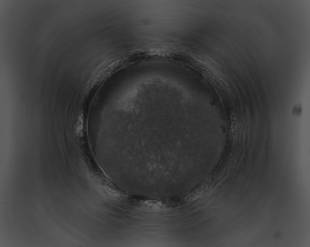 X0000091180502200708301219
