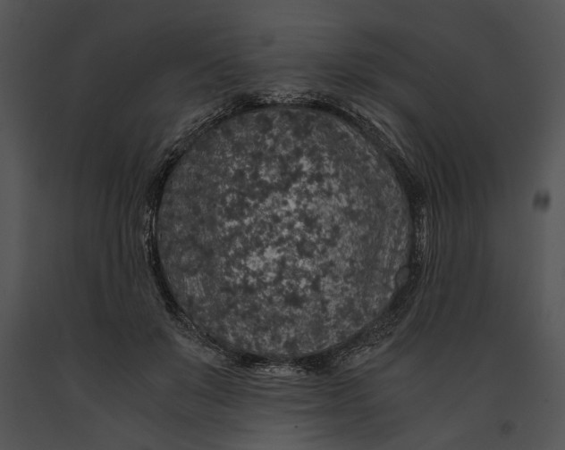 X0000091180503200708301219