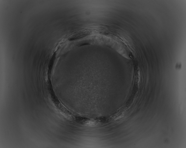 X0000091180504200708301219