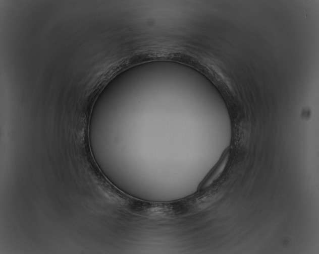 X0000091180505200708301219