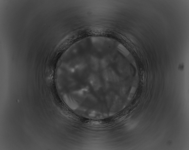 X0000091180507200708301219