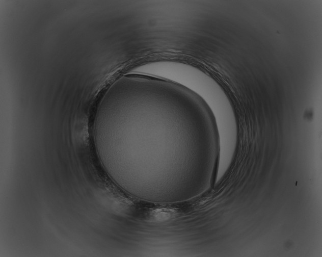 X0000091180508200708301219