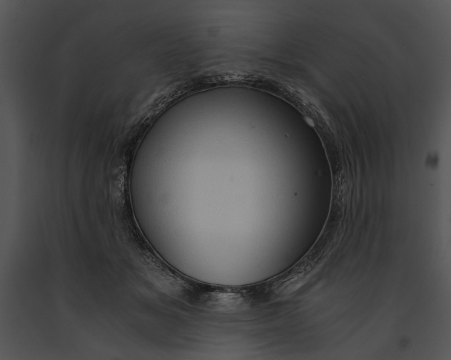 X0000091180509200708301219