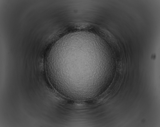 X0000091180510200708301219