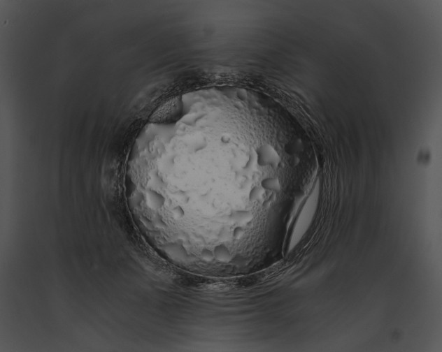 X0000091180511200708301219