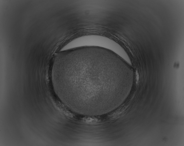 X0000091180512200708301219