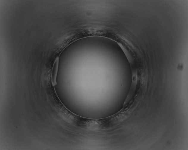 X0000091180513200708301219