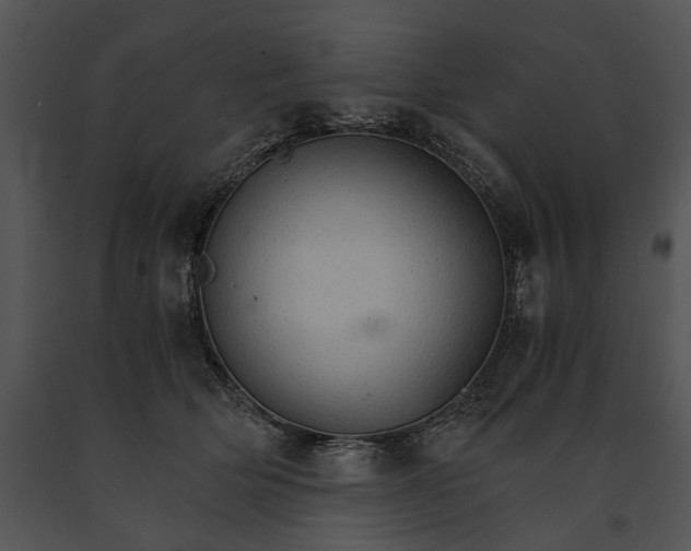 X0000091180514200708301219