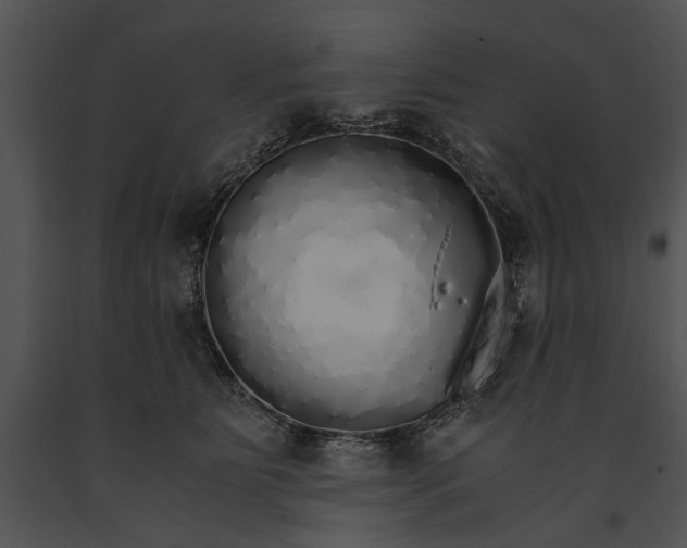 X0000091180515200708301219