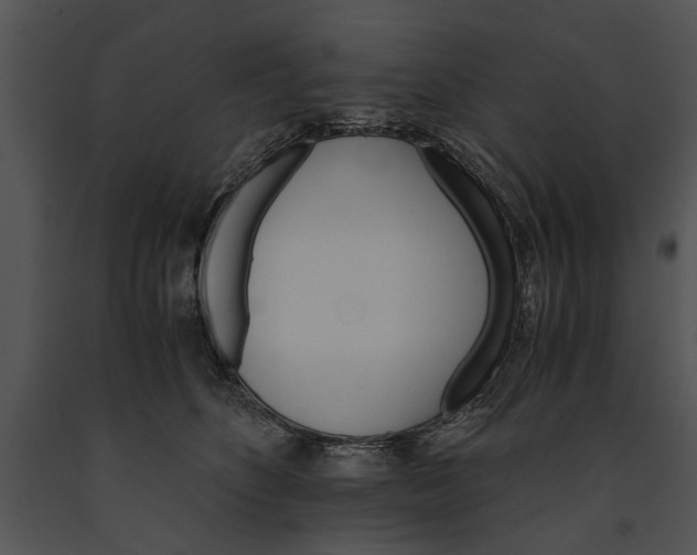 X0000091180516200708301219