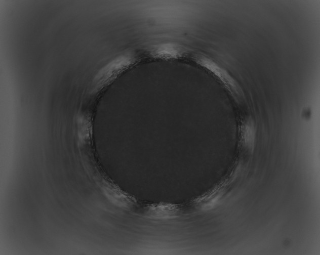 X0000091180517200708301219