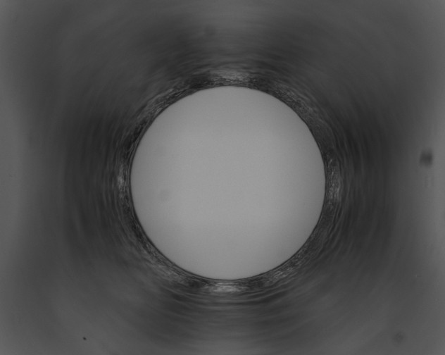 X0000091180518200708301219