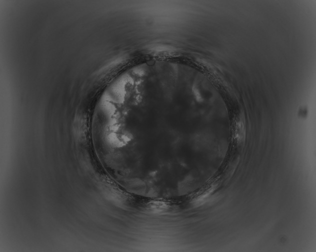 X0000091180519200708301219