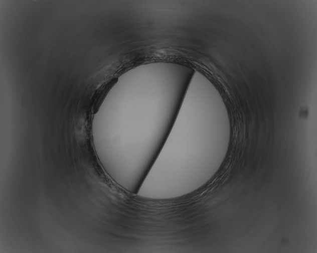 X0000091180520200708301219