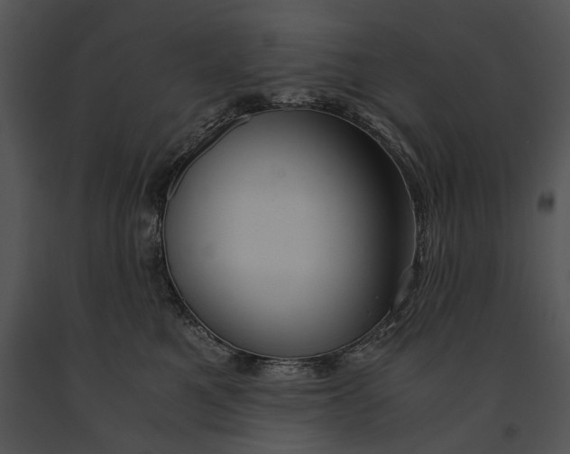 X0000091180521200708301219