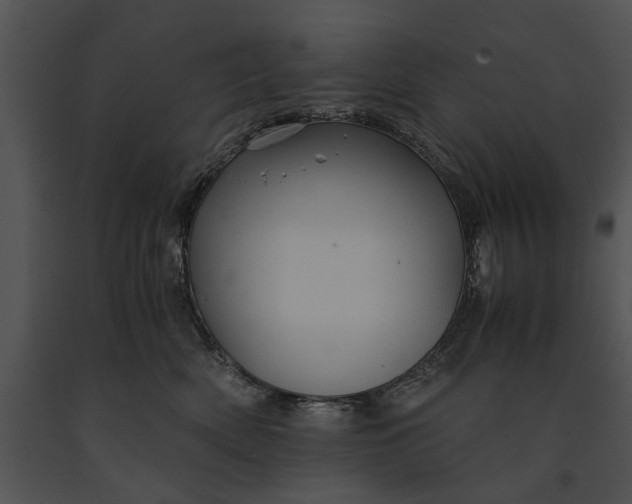X0000091180522200708301219
