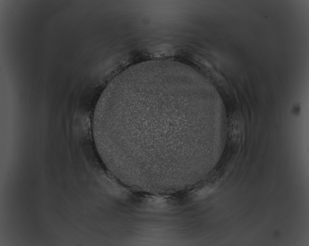 X0000091180523200708301219