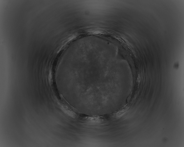 X0000091180524200708301219