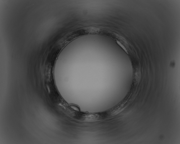X0000091180525200708301219