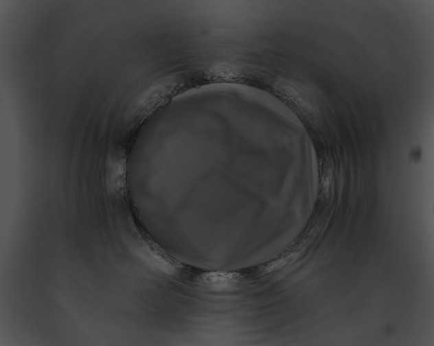 X0000091180526200708301219