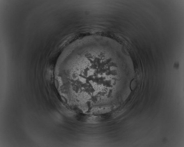 X0000091180527200708301219