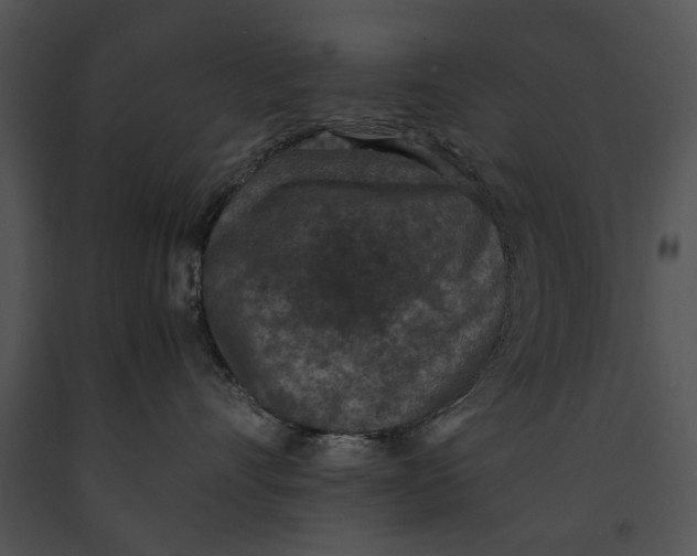 X0000091180528200708301219