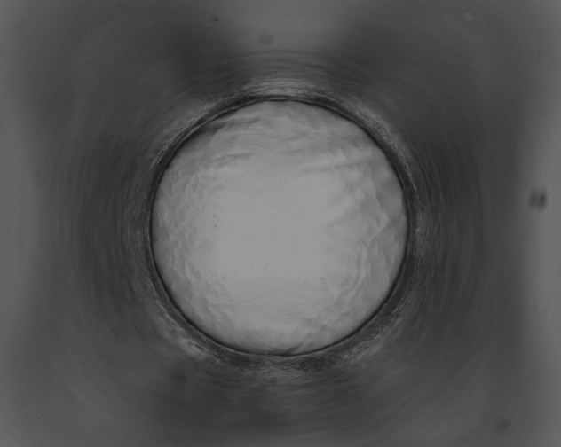 X0000091180529200708301218