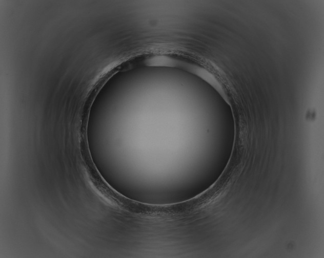 X0000091180530200708301218