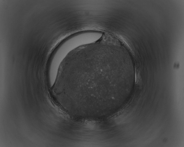 X0000091180531200708301218