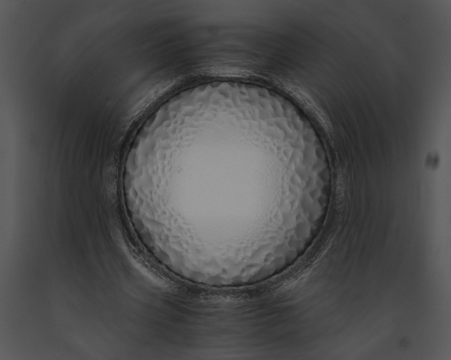 X0000091180533200708301218