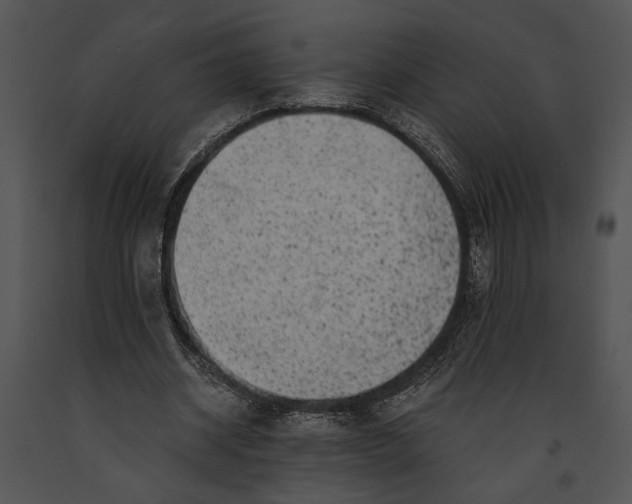 X0000091180534200708301218