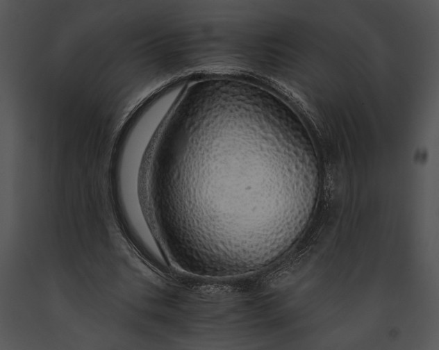 X0000091180535200708301218