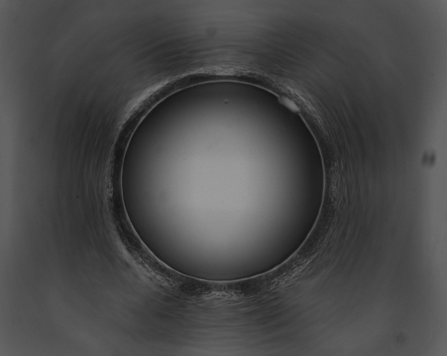 X0000091180536200708301218