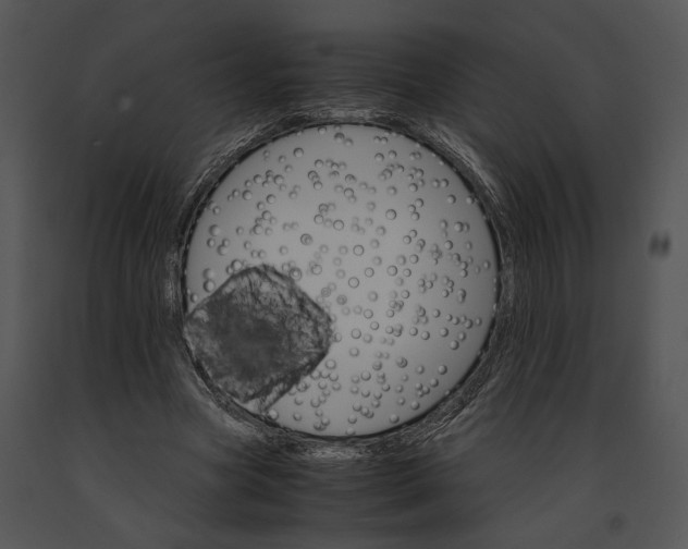 X0000091180537200708301218