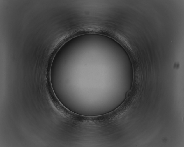 X0000091180538200708301218