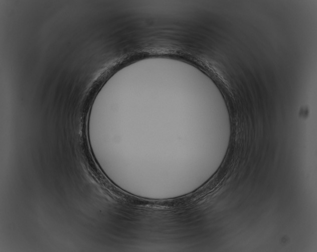 X0000091180539200708301218