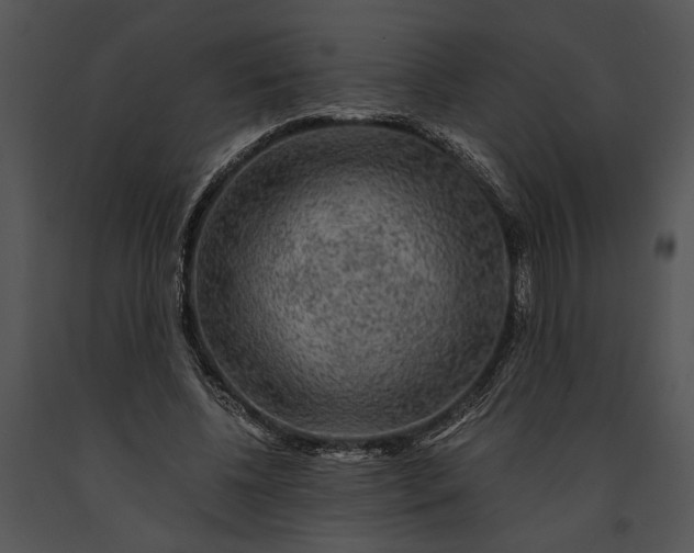 X0000091180540200708301218