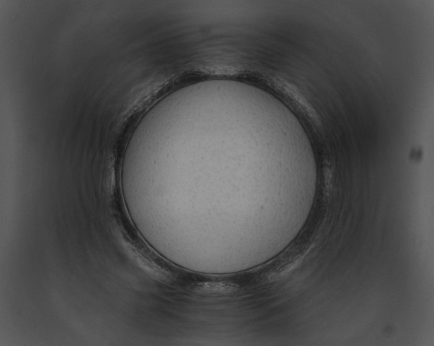 X0000091180541200708301218