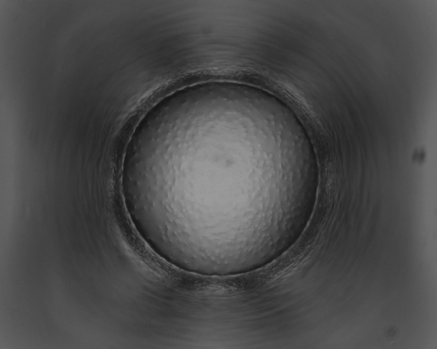 X0000091180542200708301218