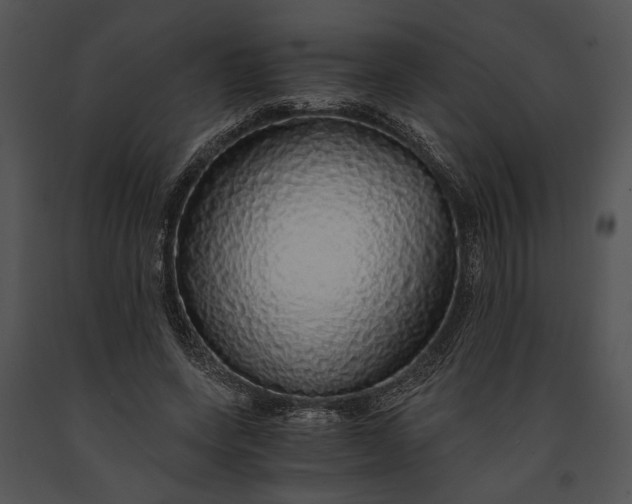 X0000091180543200708301218