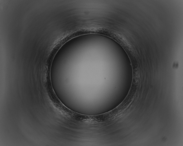 X0000091180544200708301218