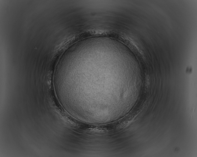X0000091180545200708301218