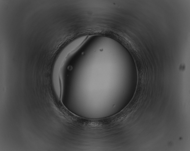 X0000091180546200708301218
