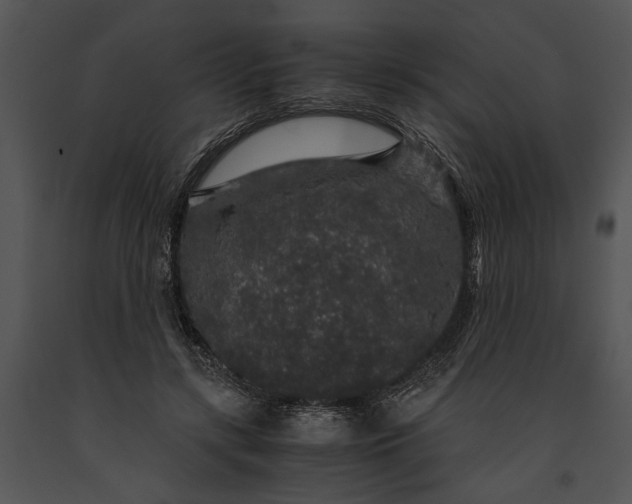 X0000091180547200708301218