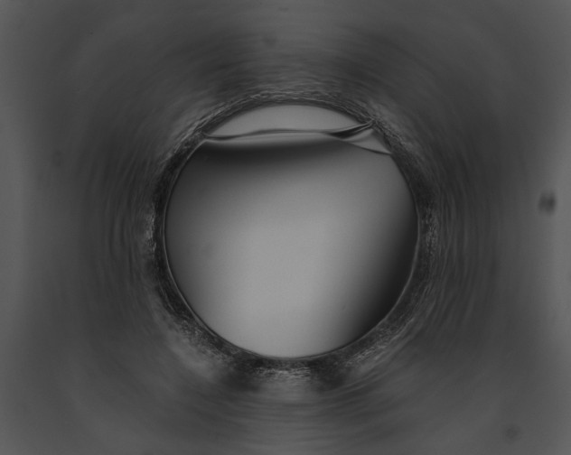 X0000091180548200708301218