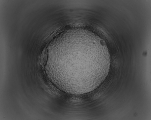 X0000091180549200708301218