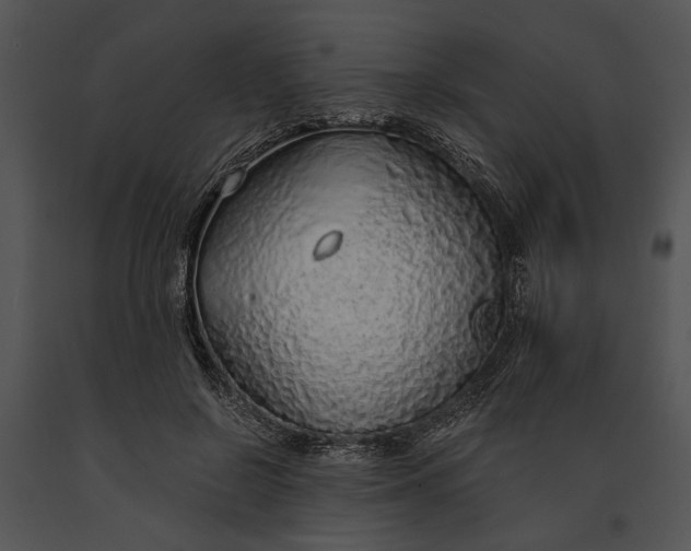 X0000091180550200708301218