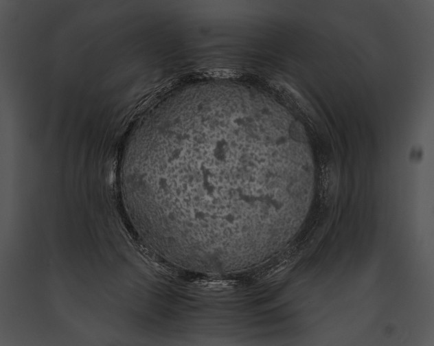 X0000091180553200708301218
