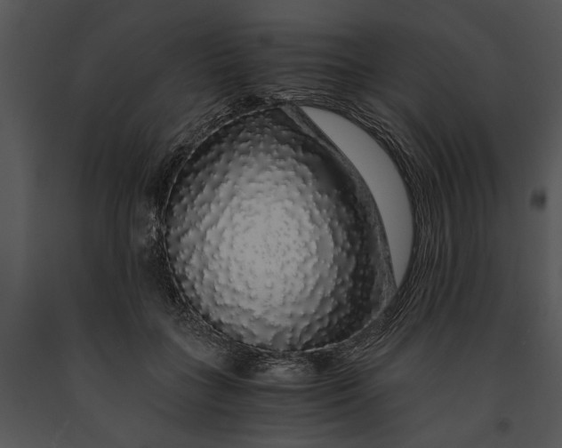 X0000091180555200708301218