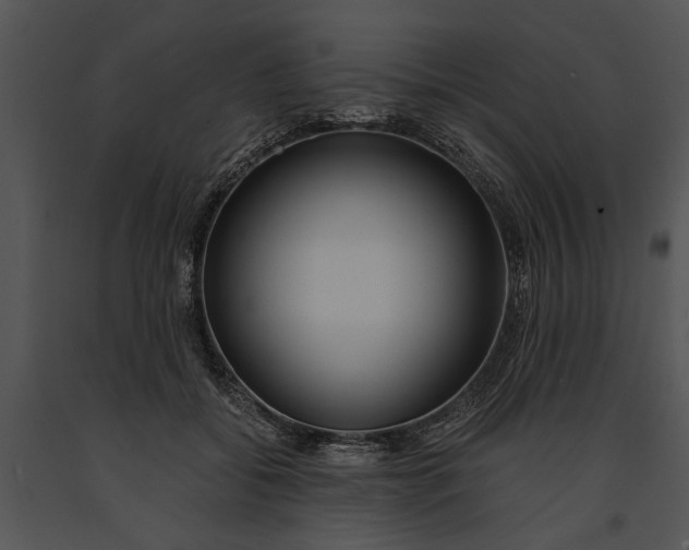 X0000091180556200708301218